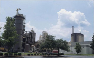 American Biomass Power Plant